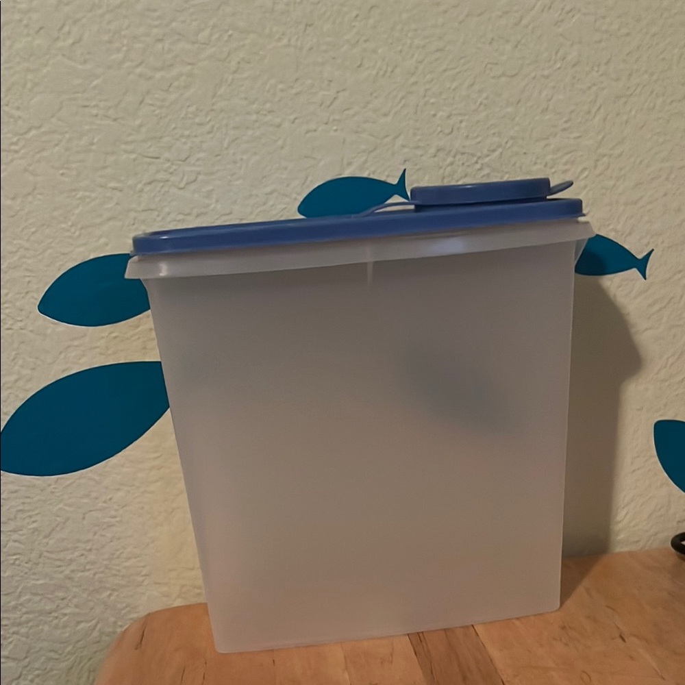 Tupperware Frosted Container with Blue Lid